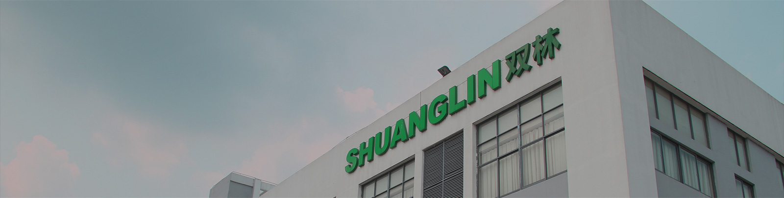 开云·官方端网页版登录入口站群